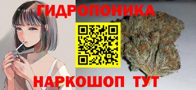 крисы Шелехов