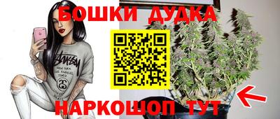 крисы Шелехов