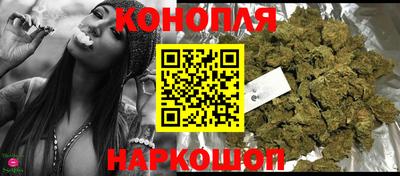 крисы Шелехов