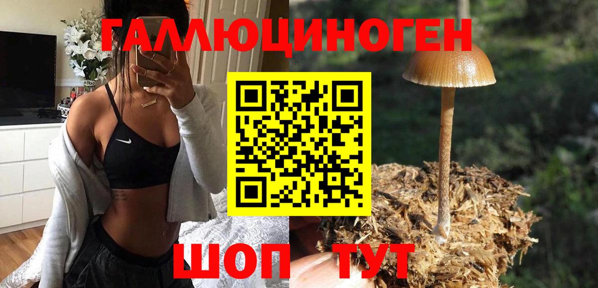 Псилоцибиновые грибы ЛСД Батайск