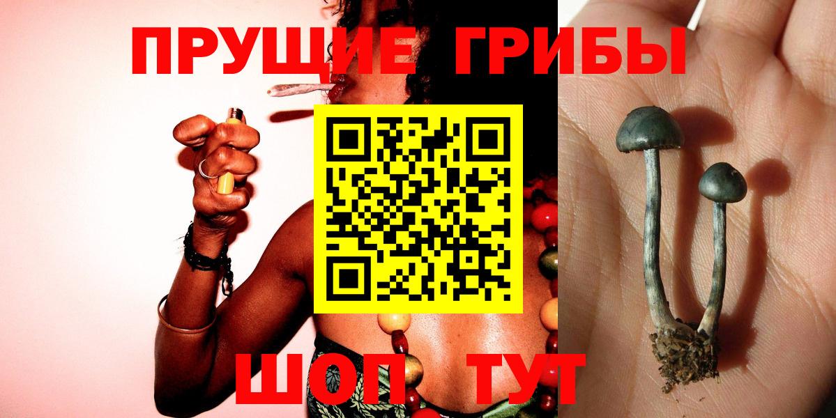 Батайск  Галлюциногенные грибы Psilocybine cubensis  Вход с VPN 
